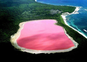 розовые озера планеты