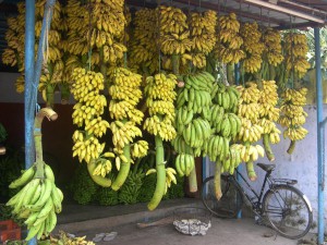 banan-4
